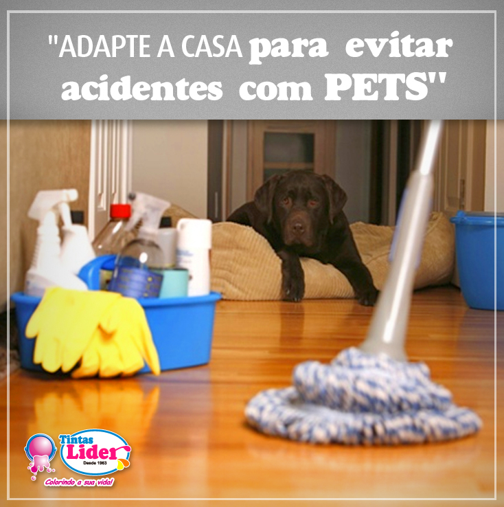 adapte-a-casa-para-evitar-acidentes-com-pets