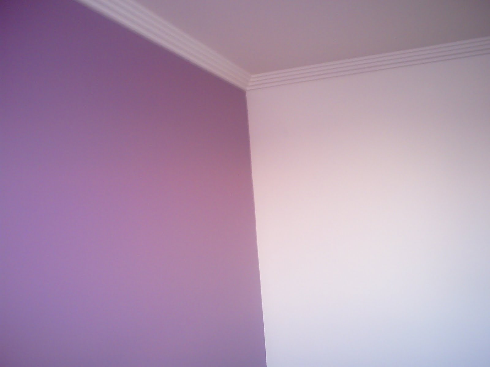 suvinil-magic-primer